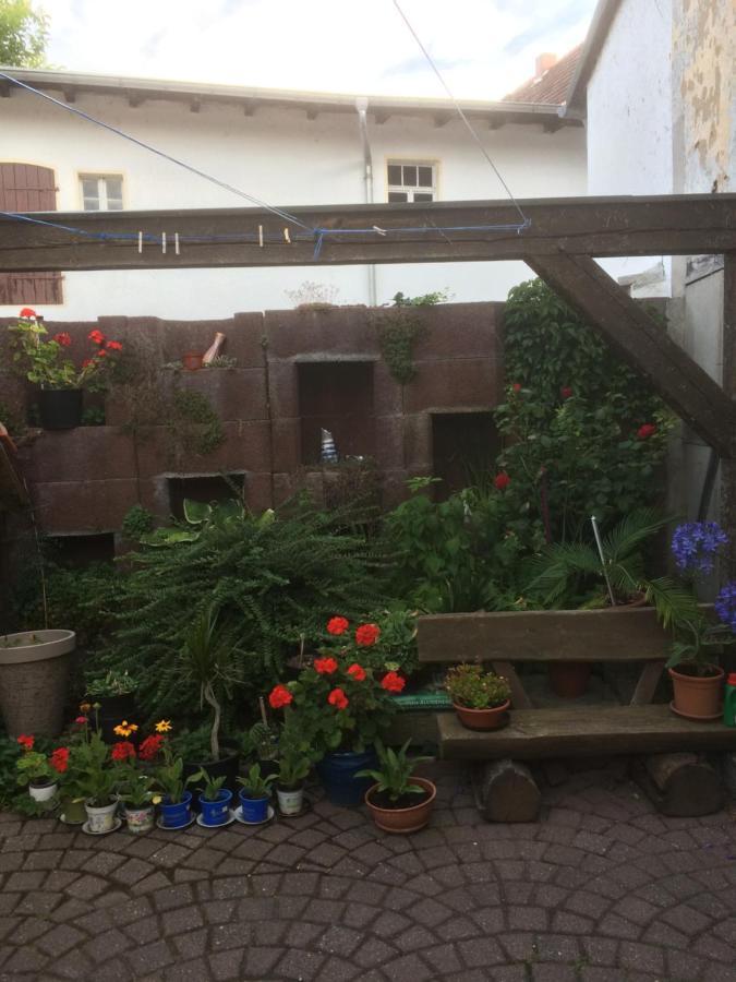 Otterbau Lägenhet Belgern-Schildau Exteriör bild